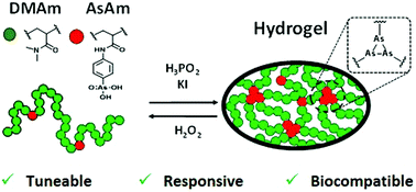 Graphical abstract: Polymeric arsenicals as scaffolds for functional and responsive hydrogels