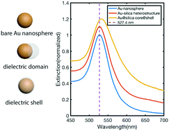 Graphical abstract: Dielectric domain distribution on Au nanoparticles revealed by localized surface plasmon resonance