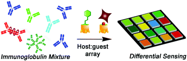Graphical abstract: A supramolecular sensor array for selective immunoglobulin deficiency analysis