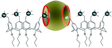 Graphical abstract: Unveiling the formation 1 : 2 supramolecular complexes between cucurbit[7]uril and a cationic calix[4]arene derivative