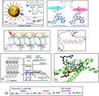 Graphical abstract: Quantum interferences among Dexter energy transfer pathways