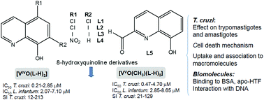 Graphical abstract: Exploring oxidovanadium(iv) homoleptic complexes with 8-hydroxyquinoline derivatives as prospective antitrypanosomal agents