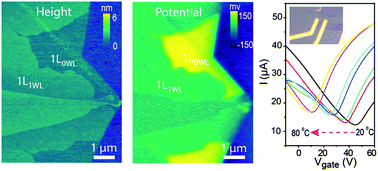 Graphical abstract: Interfacial icelike water local doping of graphene