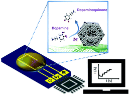 Graphical abstract: A platinum–nickel bimetallic nanocluster ensemble-on-polyaniline nanofilm for enhanced electrocatalytic oxidation of dopamine