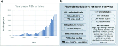 Graphical abstract: Under the spotlight: mechanisms of photobiomodulation concentrating on blue and green light