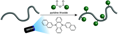 Graphical abstract: Organocatalytic C–H fluoroalkylation of commodity polymers