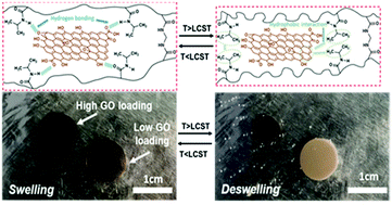 Graphical abstract: Tunable swelling and deswelling of temperature- and light-responsive graphene oxide-poly(N-isopropylacrylamide) composite hydrogels