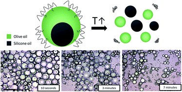 Graphical abstract: Temperature-triggered reversible breakdown of polymer-stabilized olive–silicone oil Janus emulsions