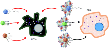 Graphical abstract: Influence of surface chemistry on the formation of a protein corona on nanodiamonds