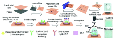 Graphical abstract: Detection of the SARS-CoV-2 humanized antibody with paper-based ELISA