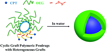 Graphical abstract: Synthesis of cyclic graft polymeric prodrugs with heterogeneous grafts of hydrophilic OEG and reducibly conjugated CPT for controlled release