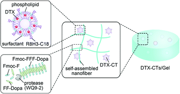 Graphical abstract: Topical delivery of chemotherapeutic drugs using nano-hybrid hydrogels to inhibit post-surgical tumour recurrence