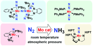 Graphical abstract: Catalytic conversion of nitrogen molecule into ammonia using molybdenum complexes under ambient reaction conditions