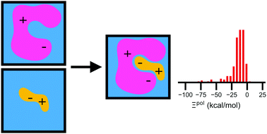 Graphical abstract: On the polarization of ligands by proteins