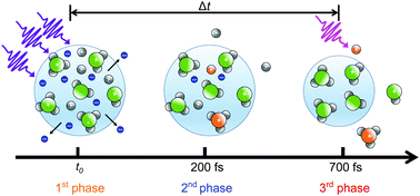 Graphical abstract: Time-resolved formation of excited atomic and molecular states in XUV-induced nanoplasmas in ammonia clusters