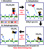 Graphical abstract: Ethanol–ethylene conversion mechanism on hydrogen boride sheets probed by in situ infrared absorption spectroscopy