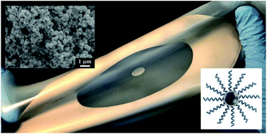Graphical abstract: Liquid metal nanocomposites