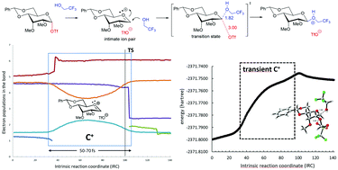 Graphical abstract: Computational evidence of glycosyl cations