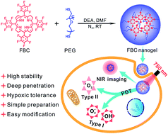 Graphical abstract: An ultra-stable bio-inspired bacteriochlorin analogue for hypoxia-tolerant photodynamic therapy