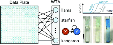 Graphical abstract: Leveraging autocatalytic reactions for chemical domain image classification