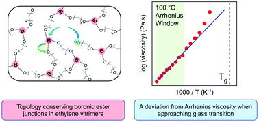 Graphical abstract: Effect of precise linker length, bond density, and broad temperature window on the rheological properties of ethylene vitrimers