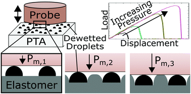 Graphical abstract: Pressure tunable adhesion of rough elastomers