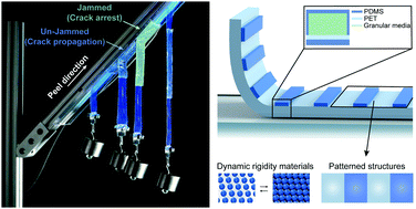 Graphical abstract: Deterministic control of adhesive crack propagation through jamming based switchable adhesives