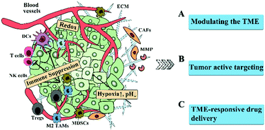 Graphical abstract: Overcoming the biological barriers in the tumor microenvironment for improving drug delivery and efficacy