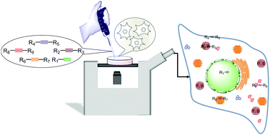 Graphical abstract: A decade of alkyne-tag Raman imaging (ATRI): applications in biological systems