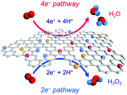 Graphical abstract: Heteroatom-doped carbon-based oxygen reduction electrocatalysts with tailored four-electron and two-electron selectivity