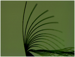 Graphical abstract: Photomechanical response of sulfonylhydrazone molecular crystals