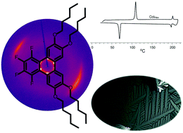 Graphical abstract: Fluorinated triphenylenes and a path to short tailed discotic liquid crystals: synthesis, structure and transport properties