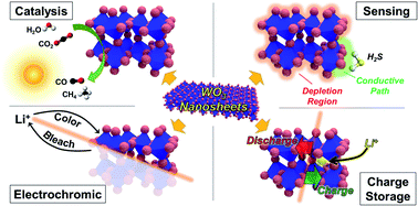 Graphical abstract: Synthesis and applications of WO3 nanosheets: the importance of phase, stoichiometry, and aspect ratio