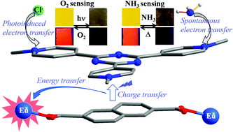 Graphical abstract: Photoinduced versus spontaneous host–guest electron transfer within a MOF and chromic/luminescent response