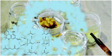 Graphical abstract: The influence of terpenes on the release of volatile organic compounds and active ingredients to cannabis vaping aerosols