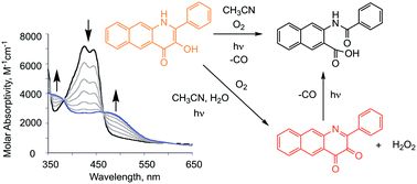 Graphical abstract: Mechanistic studies of visible light-induced CO release from a 3-hydroxybenzo[g]quinolone