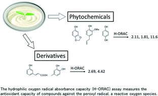 Graphical abstract: Hydrophilic oxygen radical absorbance capacity values of low-molecular-weight phenolic compounds containing carbon, hydrogen, and oxygen