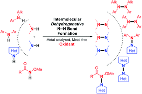 Graphical abstract: Cross-dehydrogenative N–N couplings