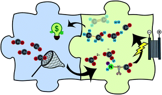 Graphical abstract: Materials and system design for direct electrochemical CO2 conversion in capture media