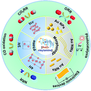 Graphical abstract: Colloidal synthesis of Au nanomaterials with a controlled morphology and crystal phase via the [Au(i)-oleylamine] complex