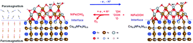 Graphical abstract: Spin unlocking oxygen evolution reaction on antiperovskite nitrides