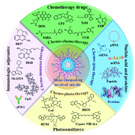 Graphical abstract: Multi-functional polymeric micelles for chemotherapy-based combined cancer therapy