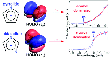 Graphical abstract: Probing the electronic structure and spectroscopy of pyrrolyl and imidazolyl radicals using high-resolution photoelectron imaging of cryogenically cooled anions