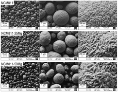 Graphical abstract: Co-precipitation of Mg-doped Ni0.8Co0.1Mn0.1(OH)2: effect of magnesium doping and washing on the battery cell performance