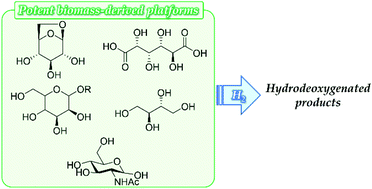 Graphical abstract: Hydrodeoxygenation of potential platform chemicals derived from biomass to fuels and chemicals