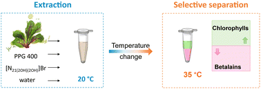 Graphical abstract: Valorisation of red beet waste: one-step extraction and separation of betalains and chlorophylls using thermoreversible aqueous biphasic systems