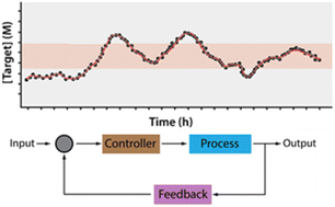 Graphical abstract: Conformational-switch biosensors as novel tools to support continuous, real-time molecular monitoring in lab-on-a-chip devices