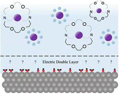 Graphical abstract: Investigating the role of potassium cations during electrochemical CO2 reduction