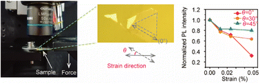 Graphical abstract: Piezoelectricity-modulated optical recombination dynamics of monolayer-MoS2/GaN-film heterostructures