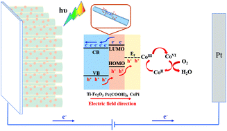 Graphical abstract: An efficient strategy to boost the directed migration of photogenerated holes by introducing phthalocyanine as a hole extraction layer